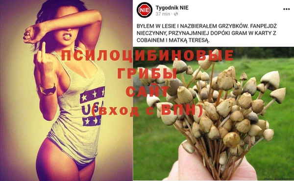гидропоника Магас