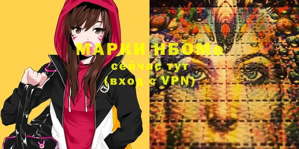 индика Майский