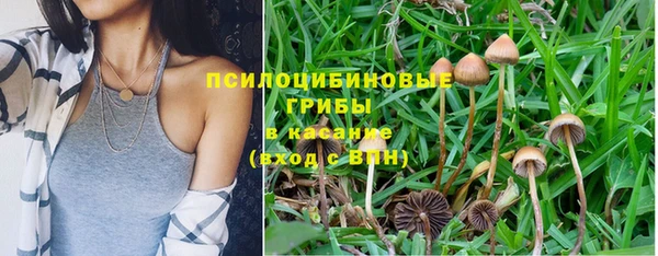 гидропоника Магас