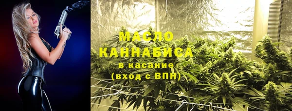 индика Майский