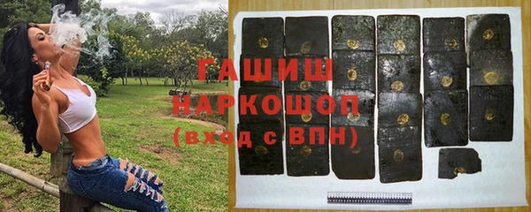 гидра Долгопрудный