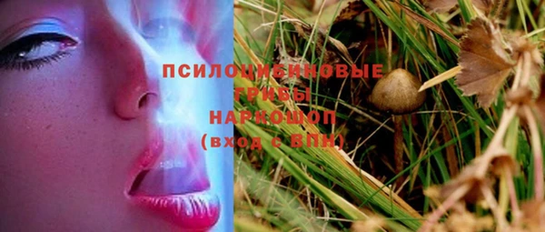 индика Майский