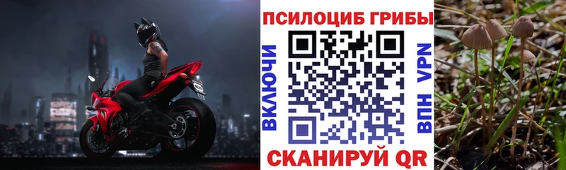 Галлюциногенные грибы ЛСД Томари
